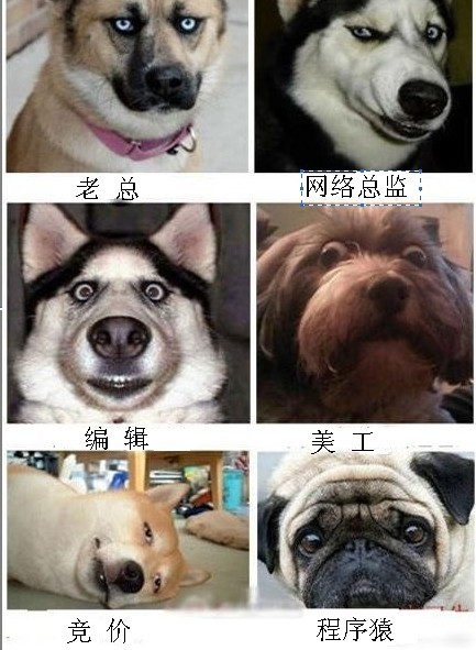 搞笑图片：企业网络部人员配置图!.jpg