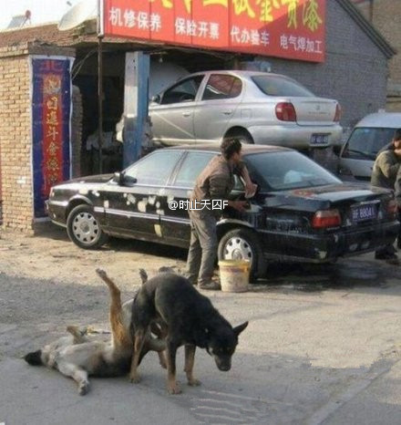 大过节的，洗车的少年，真辛苦！.jpg
