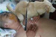 世间最好主人 我靠 这主人真是体贴!