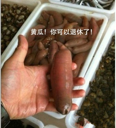 内涵图片：自从有了这个神器，市场的黄瓜就失业了！.jpg