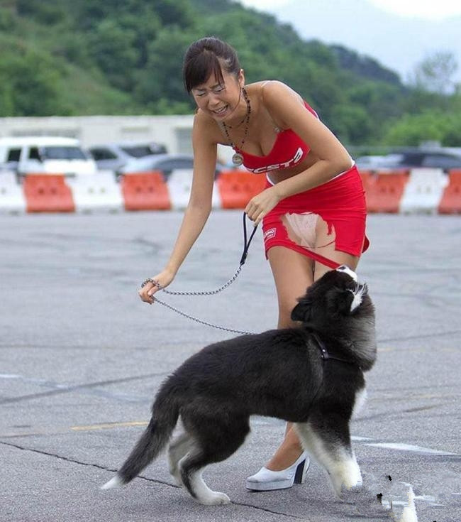 狗狗你咋这么色呢？你让美女情何以堪啊？.jpg