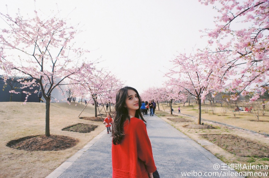 武大高颜值美女校花王维琳甜美养眼街拍美图