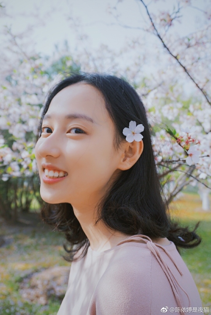 小清新美女郑晴笑容甜美樱花树下图片
